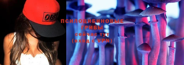 соль ск Аркадак
