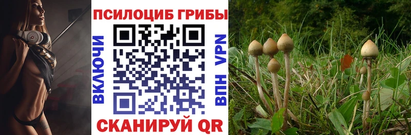 Псилоцибиновые грибы мухоморы Новодвинск